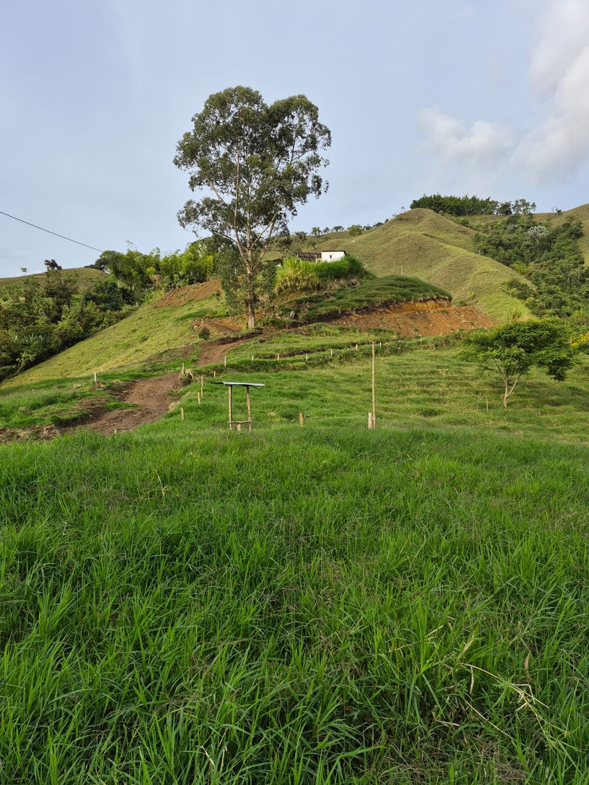 Lotes en Villamaría
